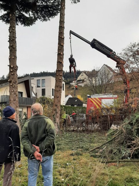 Adventkranzbinden Baumfällen 2023 – Bild 1