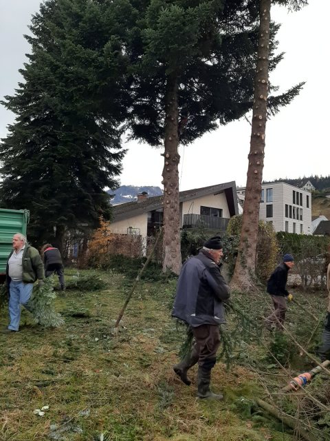 Adventkranzbinden Baumfällen 2023 – Bild 4