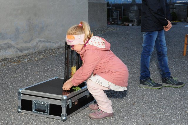 Allerheiligen für Kinder 2022 – Bild 5