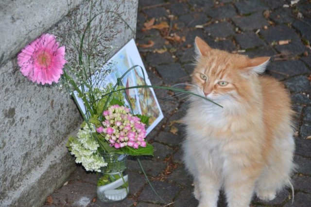 Danke-Fest – Bild 15