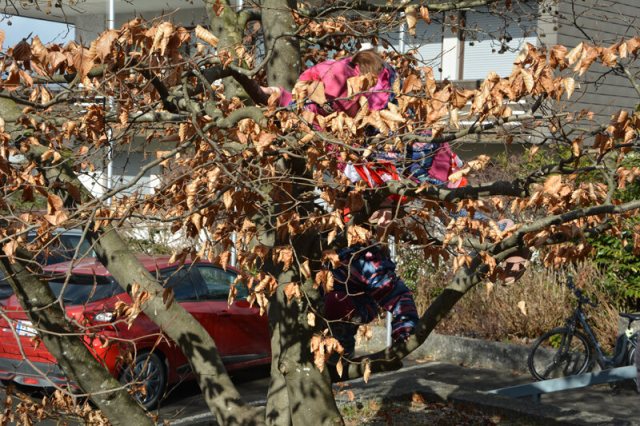 Faschingssonntag 2023 – Bild 21