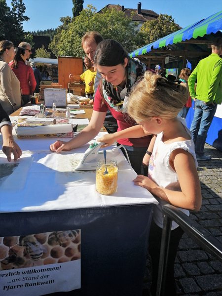 Honig für Josef – Bild 2
