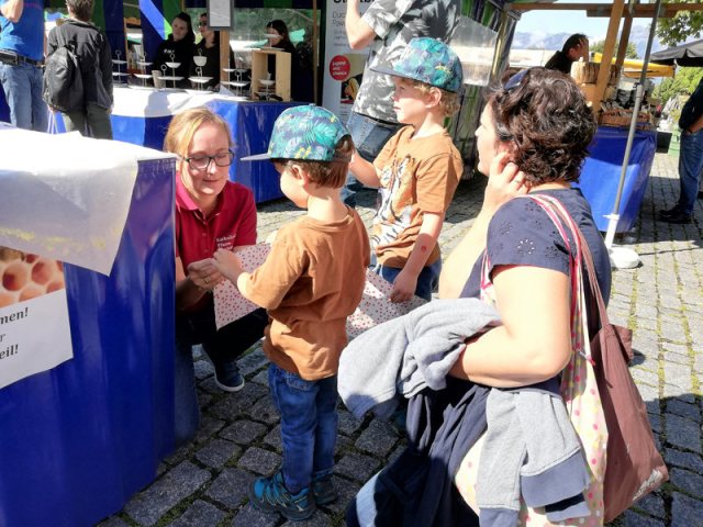 Honig für Josef – Bild 9