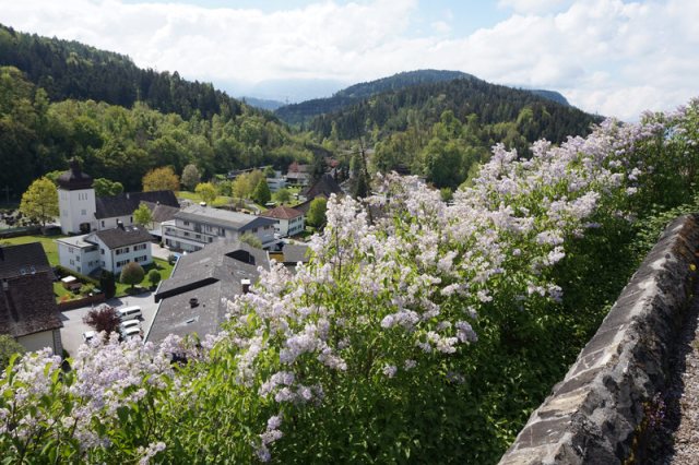 Landeswallfahrtstag 2022 – Bild 6
