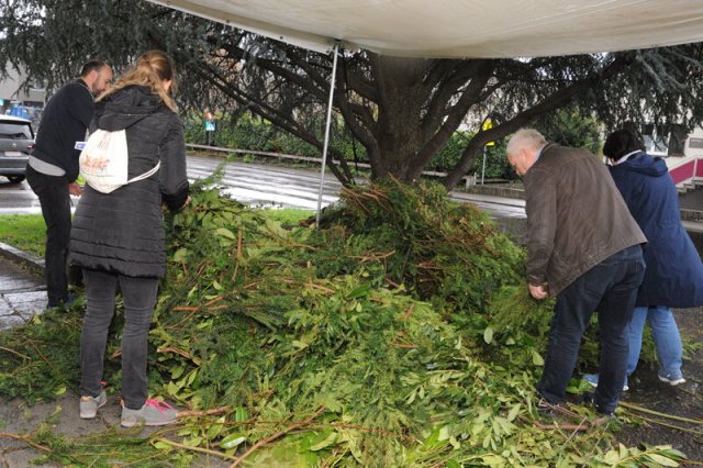 Palmbinden 2024 – Bild 6