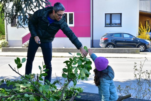 Palmen binden und Ratschen bauen – Bild 7