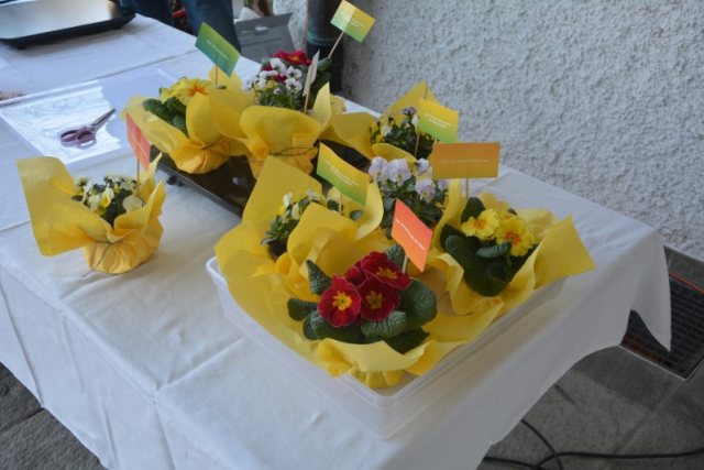 Patrozinium St. Josef – Bild 1